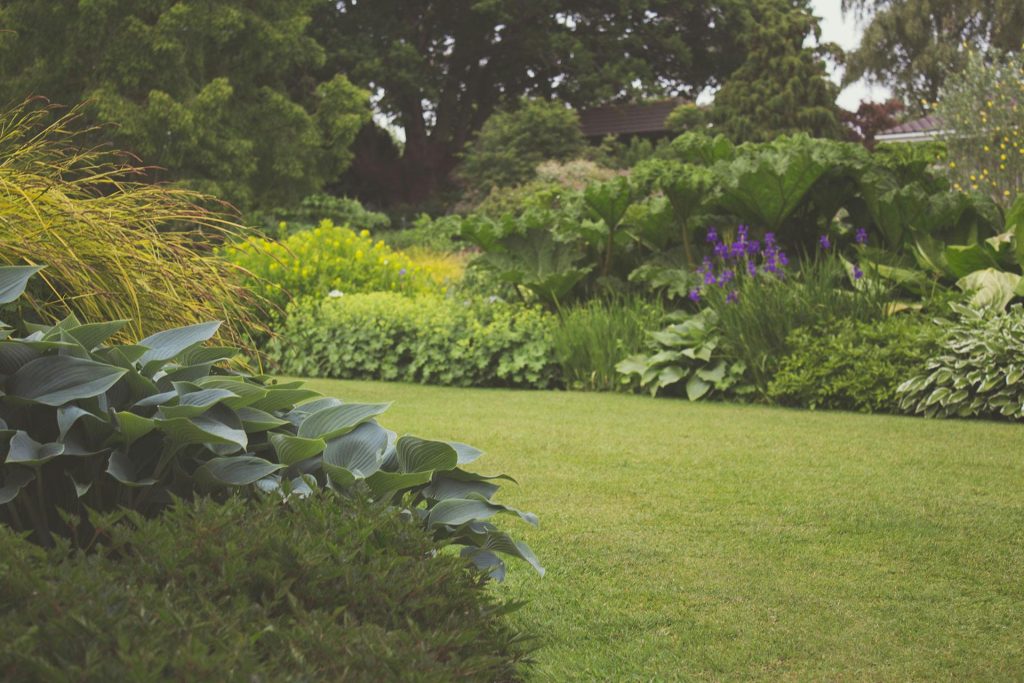 Garten2